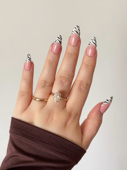 Zebra Frenchies