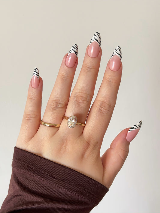 Zebra Frenchies