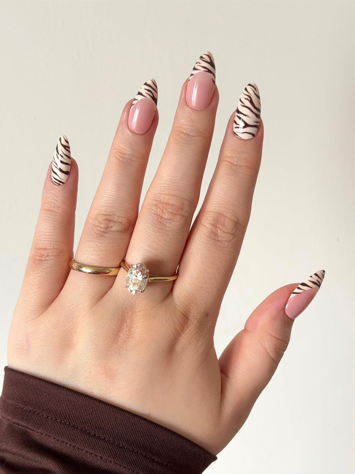 Brown zebra
