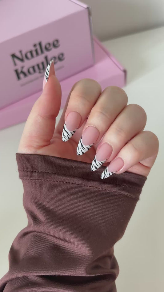 Zebra Frenchies